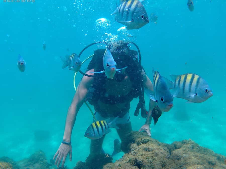 Porto Galinhas Full Day Tour - The day at the beach club: pools first, fish second
