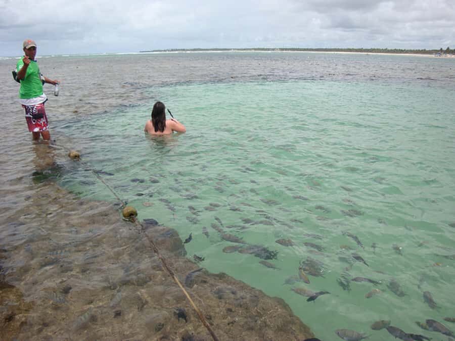 Porto Galinhas Full Day Tour - Jangada and watersports: fun add-ons, but budget carefully