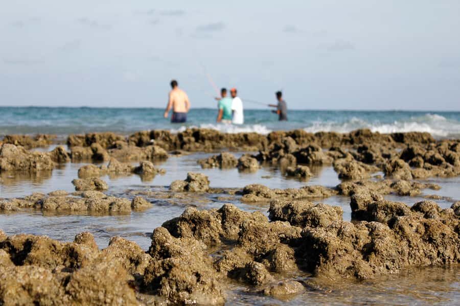 Porto Galinhas Full Day Tour - Recife-to-Porto logistics: what the 8 hours really feel like