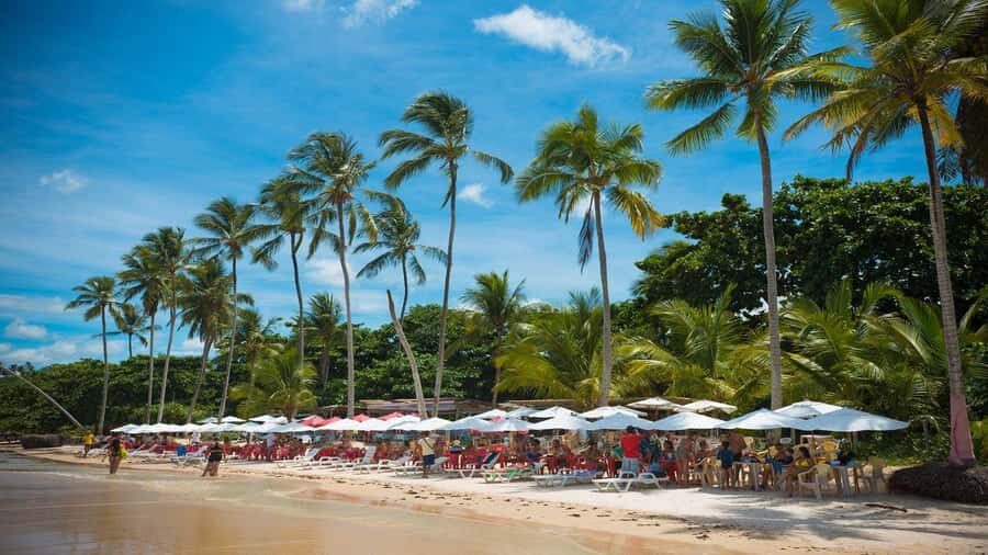 Porto Seguro: Trancoso Day Trip with Beach and Quadrado - Getting From Porto Seguro: Van Pickup That Saves You Time
