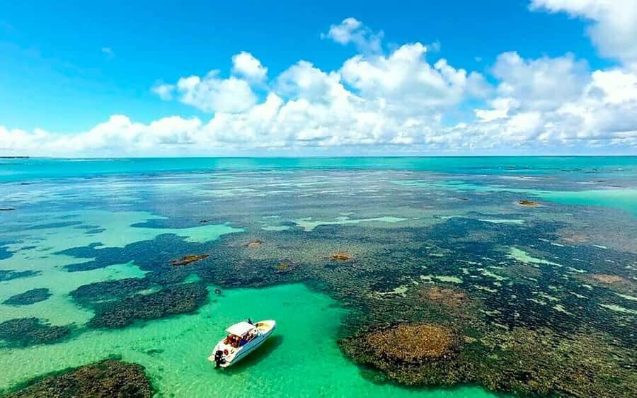 Praia de Paripueira Beach Day Tour - Optional tide pools and coral-reef boat trip: what it adds