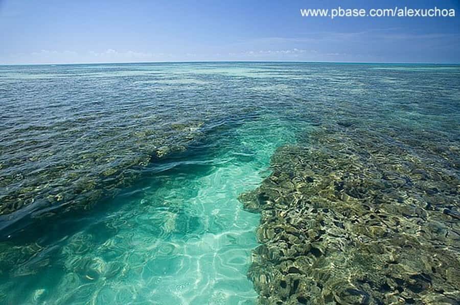 Praia de Paripueira Beach Day Tour - What to pack for a calm reef-and-beach day