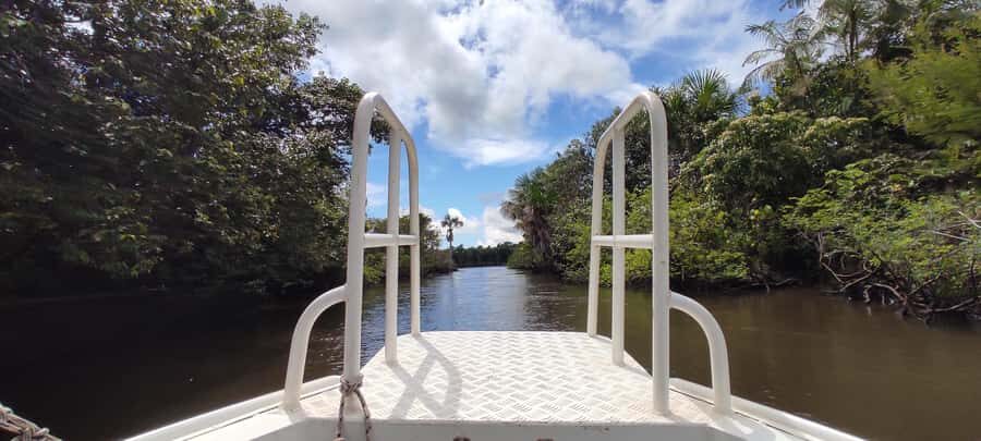 Preguicas River Speedboat Tour - Why the Preguiças River Speedboat Feels Like More Than a Ride