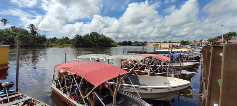 Preguicas River Speedboat Tour - Safety and Comfort on a Speedboat Day