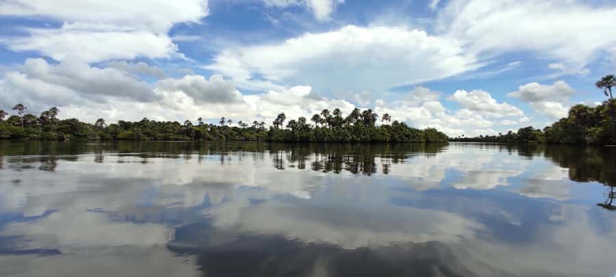 Preguicas River Speedboat Tour - Price and Value: Is $35 a Good Deal?