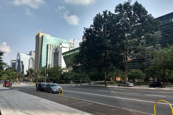 Private Half-Day Guided Tour to São Paulo - Key highlights you’ll feel fast
