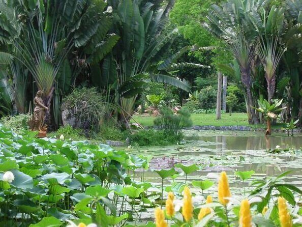 Private Half-Day Must Sees: Your Last Minute Booking in Rio! - Key things that make this half-day tour work