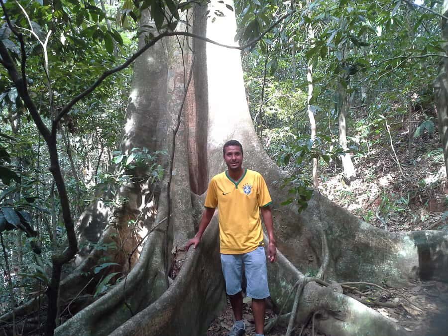Private Tijuca Forest & Botanical Garden Guided Tour - Key things to know before you go