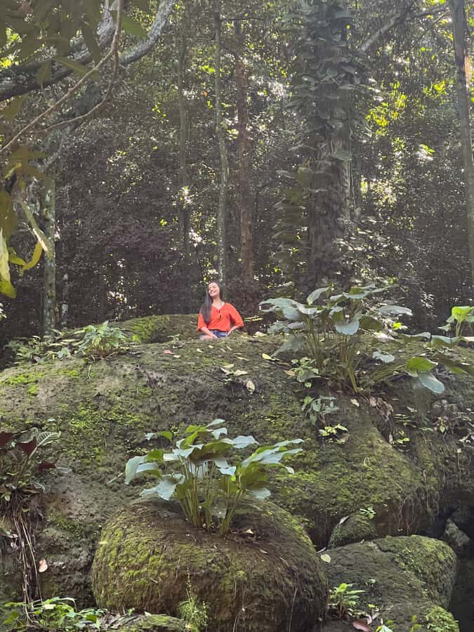 Private Tijuca Forest & Botanical Garden Guided Tour - A smart way to see Rio without rushing