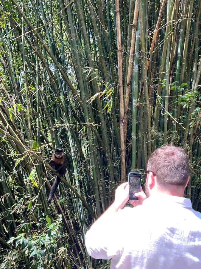 Private Tijuca Forest & Botanical Garden Guided Tour - The waterfall moment: Cascatinha Taunay