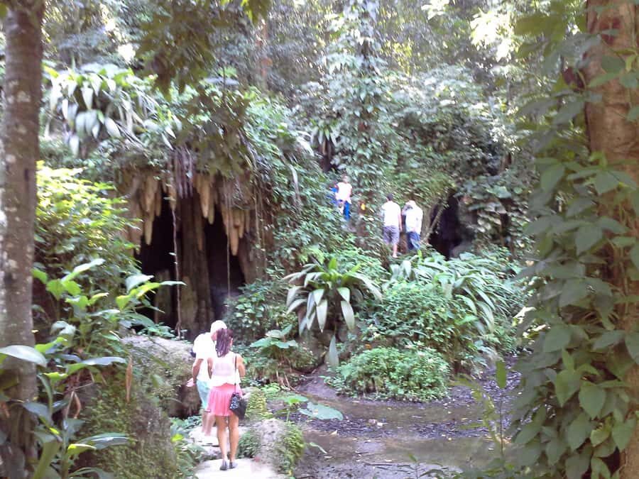 Private Tijuca Forest & Botanical Garden Guided Tour - Panoramic viewpoints on the return