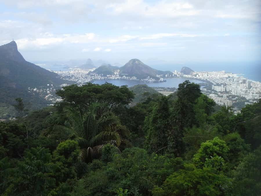 Private Tijuca Forest & Botanical Garden Guided Tour - Rio de Janeiro Botanical Garden: sensory garden, orchids, and bromeliads