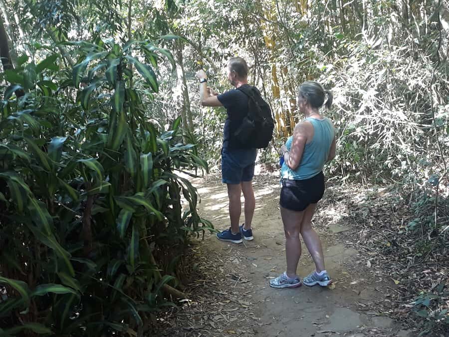 Private Tijuca Forest & Botanical Garden Guided Tour - Price and value: is $80 a good deal for a private day?