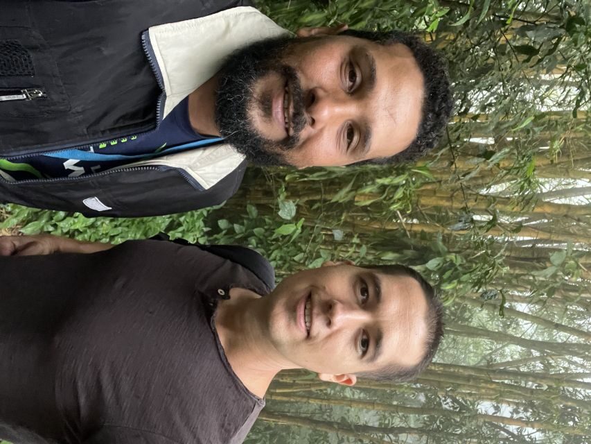 Private Tijuca Forest & Botanical Garden Guided Tour - Guides, languages, and the private-ride feel