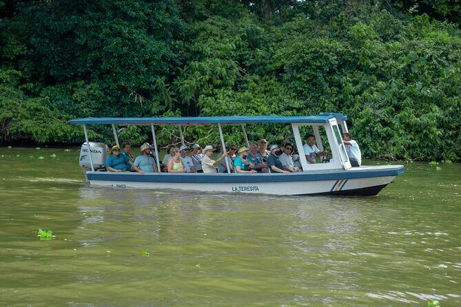 Private Tortuguero Canals Tour & Puerto Limón Highlights - Key things that make this tour work