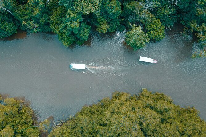 Private Tortuguero Canals Tour & Puerto Limón Highlights - Tortuguero Canals from Limón: the practical way to see more