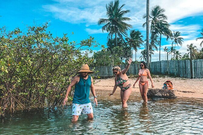 Private Tour to Trancoso - Stop 2: Praia dos Coqueiros for Lunch (And Real Beach Break Time)