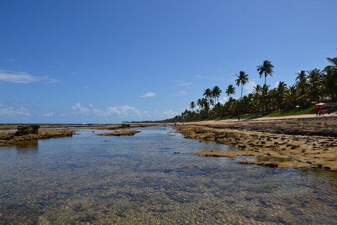 Private Transfer from Porto de Galinhas to Recife Airport - The Drive Itself: Short, Private, and Built for Timing