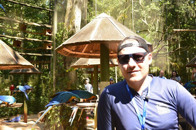 Private transport with guide to Brazil Falls + Bird Park - Iguassu Falls on the Brazil side: 1500 meters of trail and big-photo time