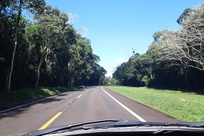 Private transport with guide to Brazil Falls + Bird Park - When this tour is a great match