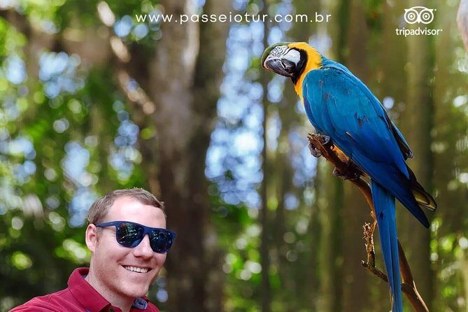 Private transport with guide to Brazil Falls + Bird Park - Parque das Aves: 145 species, about 1400 birds, and a smoother pace