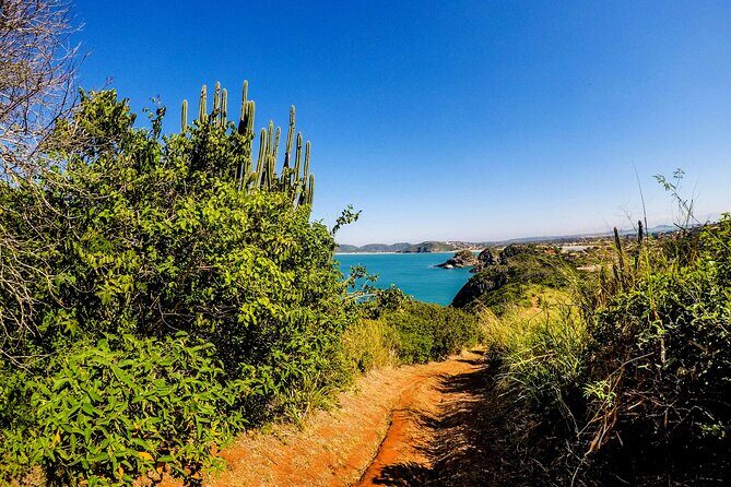 Private Walk through the Natural Pools in Búzios - From Praia dos Amores to Enseada das Poças: Your 3.5 km Walk, Timed by Cooling Off