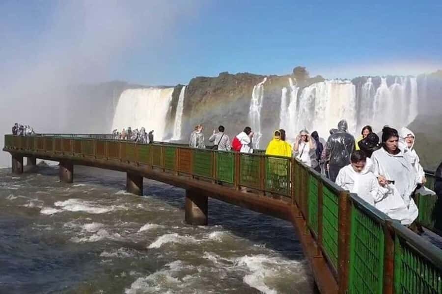 Puerto Iguazú: Tour to Brazilian Iguazú Falls with Bird Park - Bird Park Iguazú: 1,500 birds, reptiles, butterflies, and real forest areas