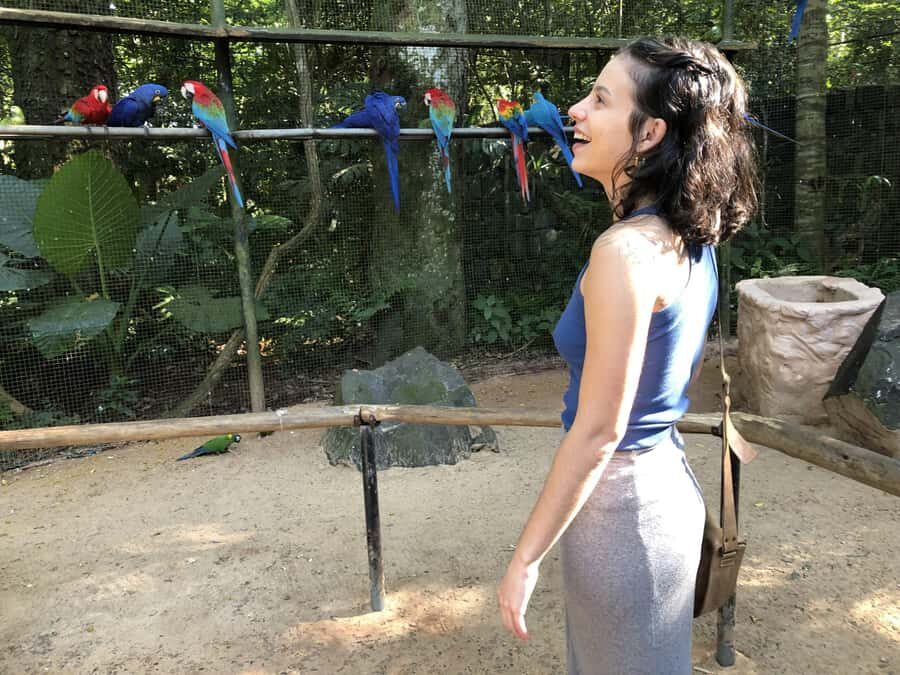 Puerto Iguazú: Tour to Brazilian Iguazú Falls with Bird Park - Who this tour suits best (and who might want something else)