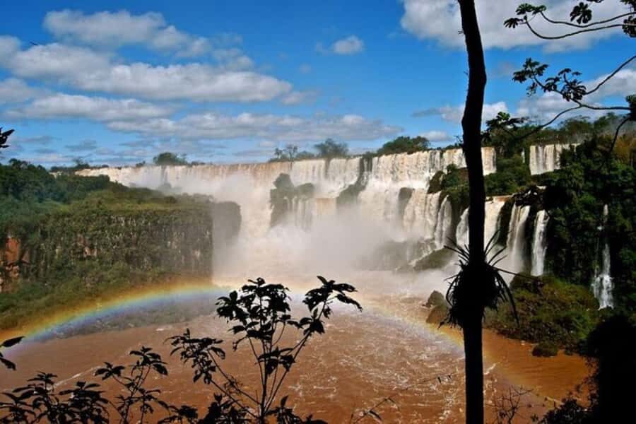 Puerto Iguazú: Tour to Brazilian Iguazú Falls with Bird Park - Iguazú National Park walkways: what you’ll do and what to watch for