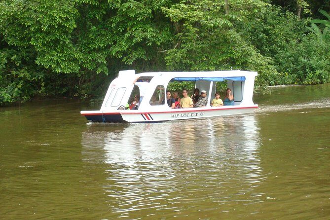 Puerto Limon Highlights 6 in 1 combo Tour. Shore Excursion - Guides, pacing, and why weather can change the whole day