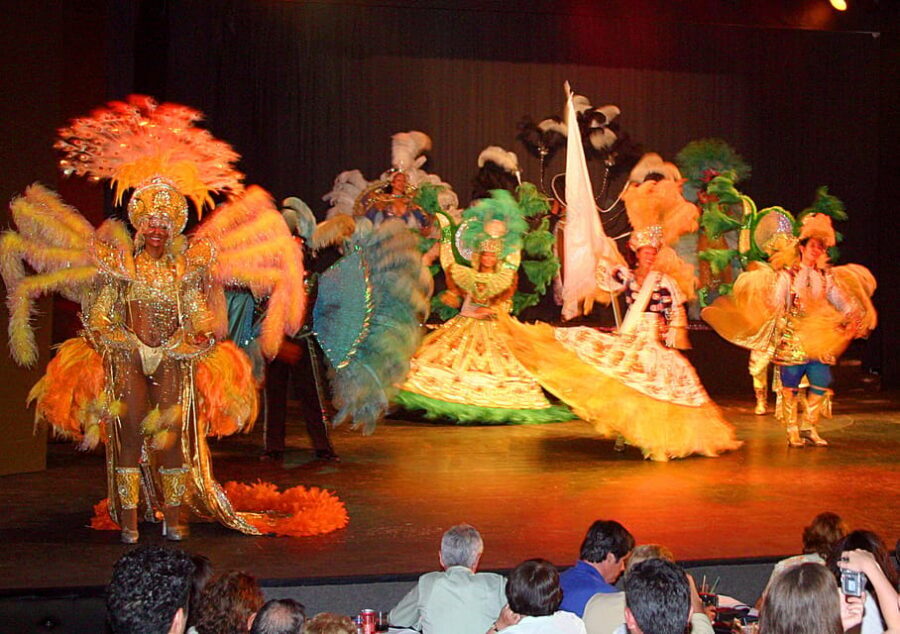 Rafain Palace: Barbecue Dinner Show - Languages and guide support: a practical plus for understanding the dances