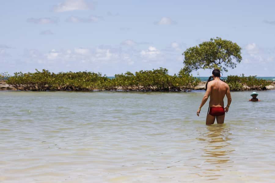 Recife: Carneiros Beach Day Tour - Key Things That Make This Carneiros Day Tour Worth It