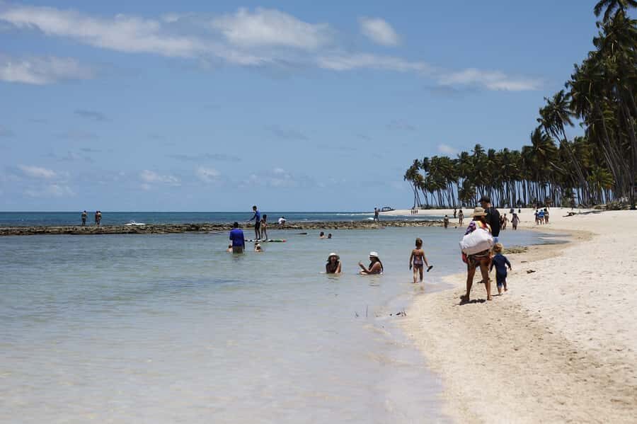 Recife: Carneiros Beach Day Tour - A Day Trip from Recife: How the Ride to Carneiros Works