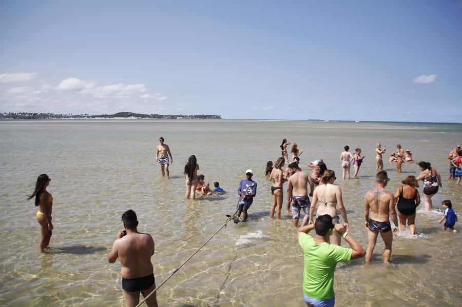 Recife: Carneiros Beach Day Tour - Who This Tour Suits Best (and Who Might Want to Rethink It)