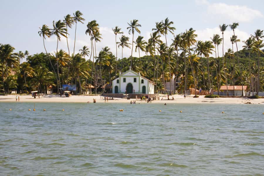 Recife: Carneiros Beach Day Tour - First Stop: Coconut Trees, White Sand, and That Calm Swim