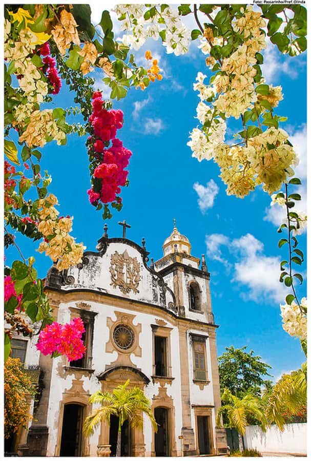 Recife & Olinda City Tour: Unveiling the Charm of Two Cities - Key Highlights You’ll Actually Feel
