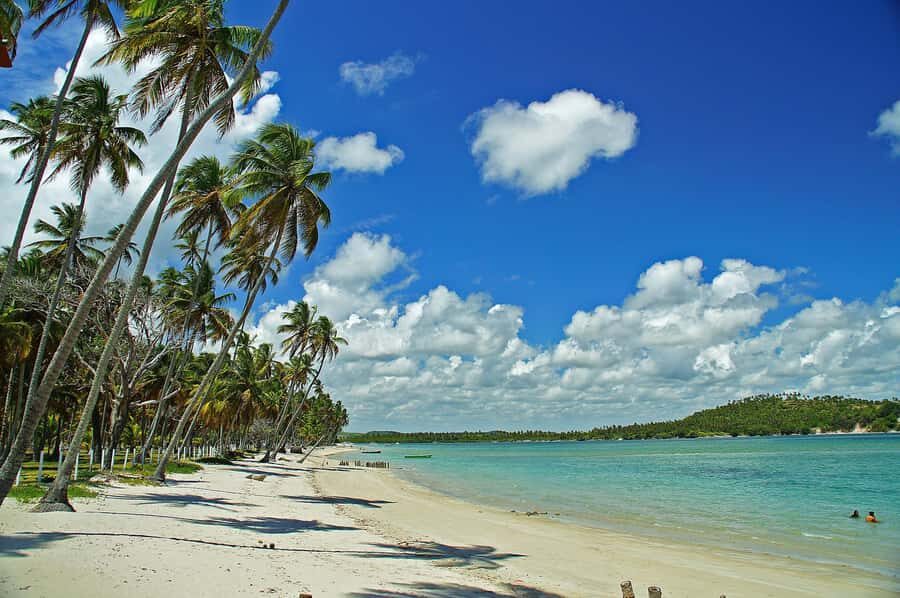 Recife: Tour to Carneiros with Catamaran Ride - Carneiros Beach: clear water, warm swim time, and the chapel backdrop