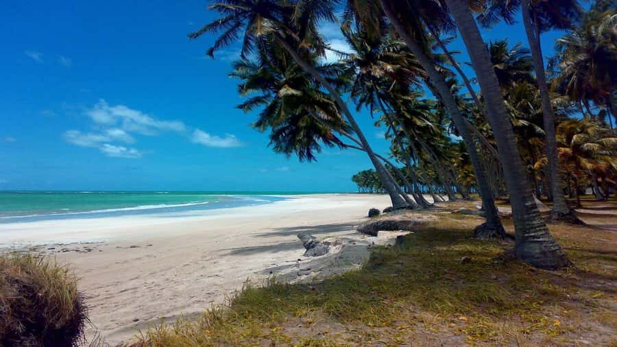 Recife: Tour to Carneiros with Catamaran Ride - Coastal clay stops: a quick spa-style break with a practical purpose