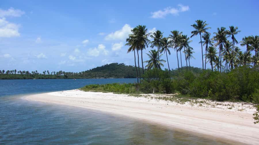 Recife: Tour to Carneiros with Catamaran Ride - Catamaran ride along the coast: mangroves, dips, and why it’s worth the time