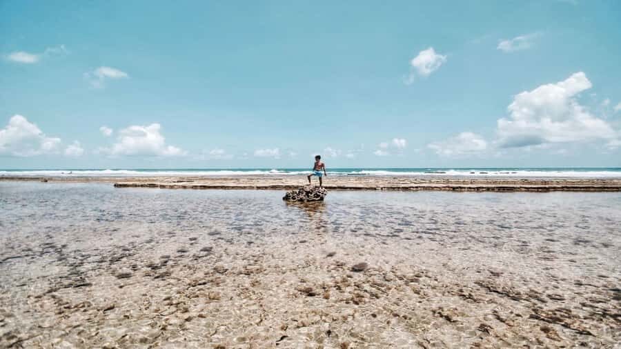 Recife: Tour to Porto de Galinhas - Quick hits before you book