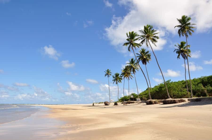 Recife: Tour to Porto de Galinhas - Porto de Galinhas free time: what to do with your 4 hours