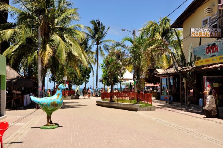 Recife: Tour to Porto de Galinhas - Food and drinks: what’s missing, and how to budget smart