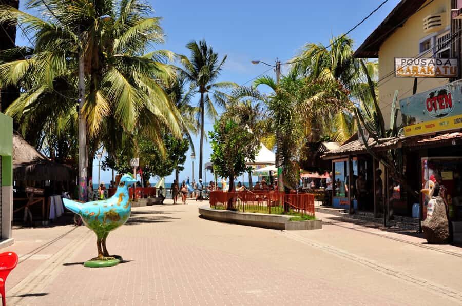 Recife: Tour to Porto de Galinhas - The guide and language reality: Portuguese vs Spanish