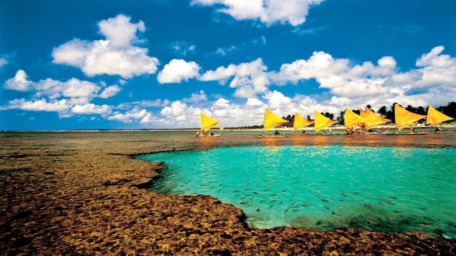 Recife: Tour to Porto de Galinhas - Pickup and the van ride: the part you’ll feel most (so make it easy)