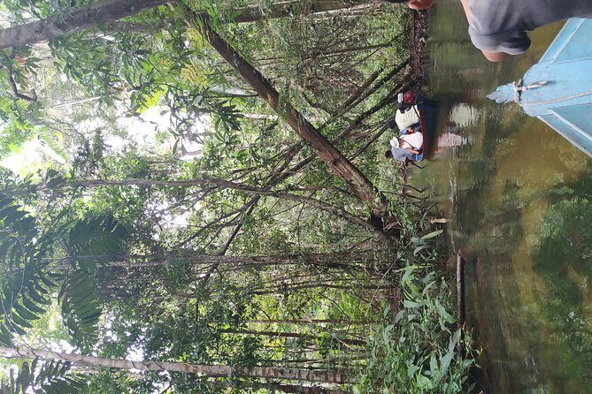 Regional Cruise in the Amazon - Food on the Amazon: when lunch is part of the experience, not a break from it