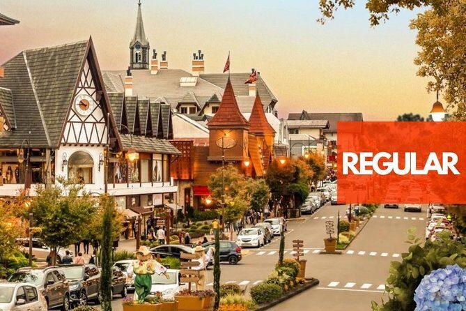 Regular Transport - LAWN | CINNAMON - Where the Day Starts: Getting Met by Name in Gramado