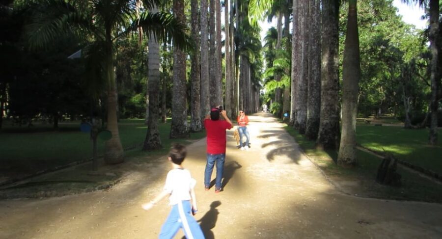Rio: Botanical Garden, Tijuca Forest, and Parque Lage Tour - Price and value: how $104 for 5 hours holds up