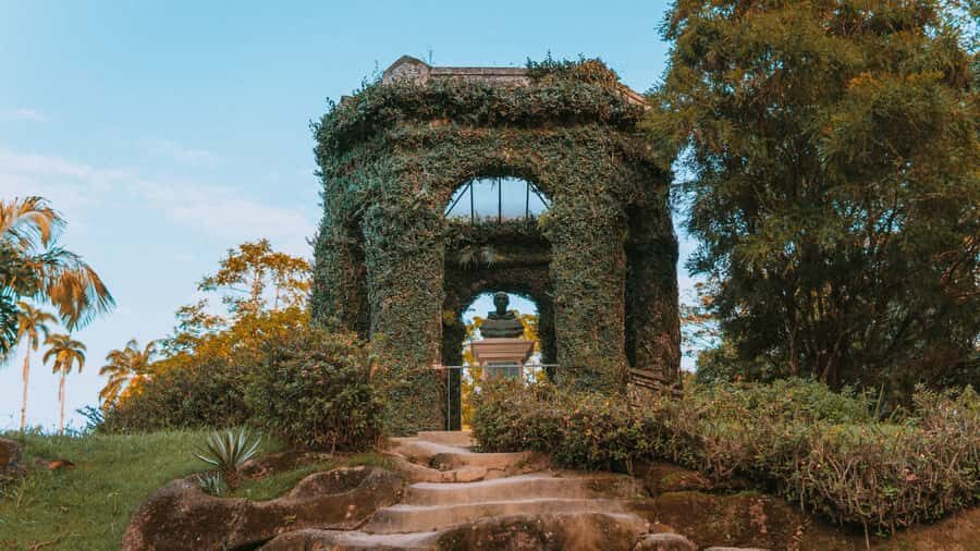 Rio de Janeiro: 4-Hour Botanical Garden & Tijuca Forest Tour - Key highlights worth planning around