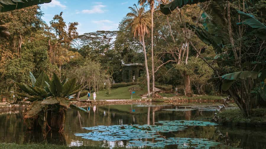 Rio de Janeiro: 4-Hour Botanical Garden & Tijuca Forest Tour - Botanical Garden first: Sensory Garden to Orchidarium