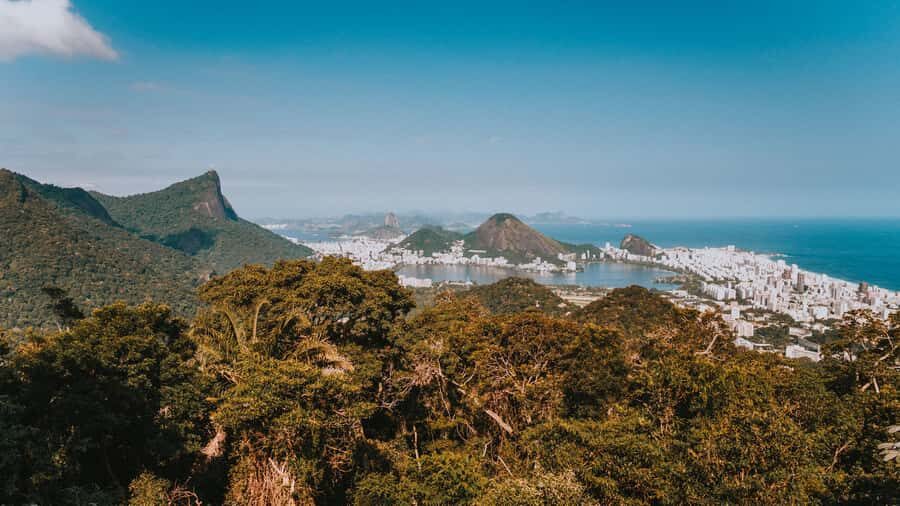 Rio de Janeiro: 4-Hour Botanical Garden & Tijuca Forest Tour - What $51 really buys in 4 hours